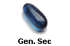 Gen. Sec