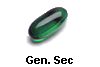 Gen. Sec